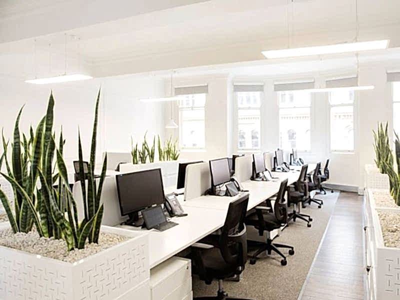 Verimliliği Üst Düzeye Çıkarmak İçin Ofis Dekorasyonu Nasıl Olmalı Ofis Dekorasyonunda Verimliliği Artırmak İçin Ne Yapmalı?
